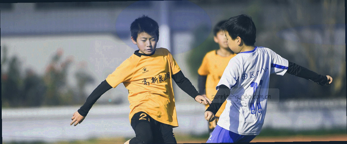 横向排列的更新节点、色带与期号索引，表现双周更新的节奏